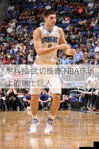 尼科拉 武切维奇,NBA球场上的瑞士巨人