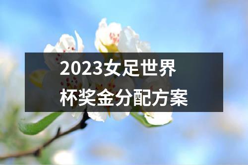 中国女足与新科欧锦赛冠军英格兰女足、丹麦女足以及附加赛B组(智利、塞内加尔、海地)的胜者一同分在D组