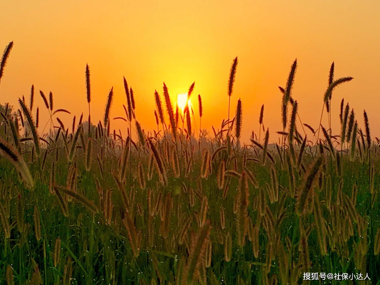 2022年退休，最后一年社保，交最高档次有用吗？