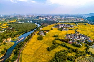 余杭径山镇规划_余杭区径山镇径山村_余杭区径山镇美丽乡村建设