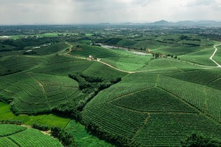 余杭区径山镇径山村_余杭径山镇规划_余杭区径山镇美丽乡村建设