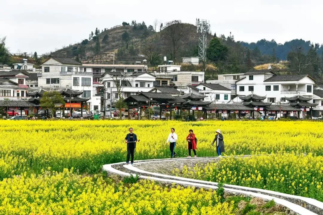 农行发展前景和优势_前景农行业发展产品有哪些_农产品行业发展前景